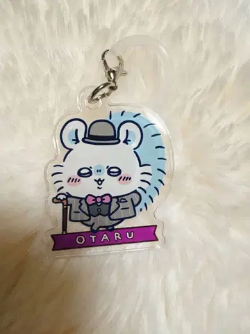 모구모구 본포 오타루 메지루시 참 모몽가