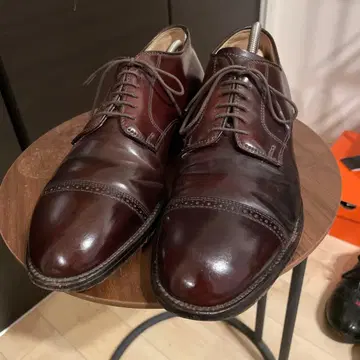 Alden 56201 알든 코도반 9D
