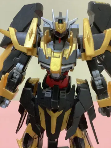 HG 건담 슈발츠리터 정크
