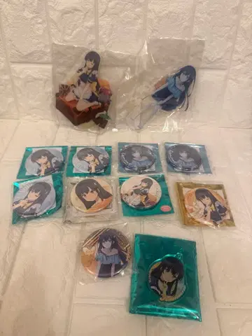 SummerPockets 사마포케 아크릴 스탠드 캔뱃지 쿠지마 카모메