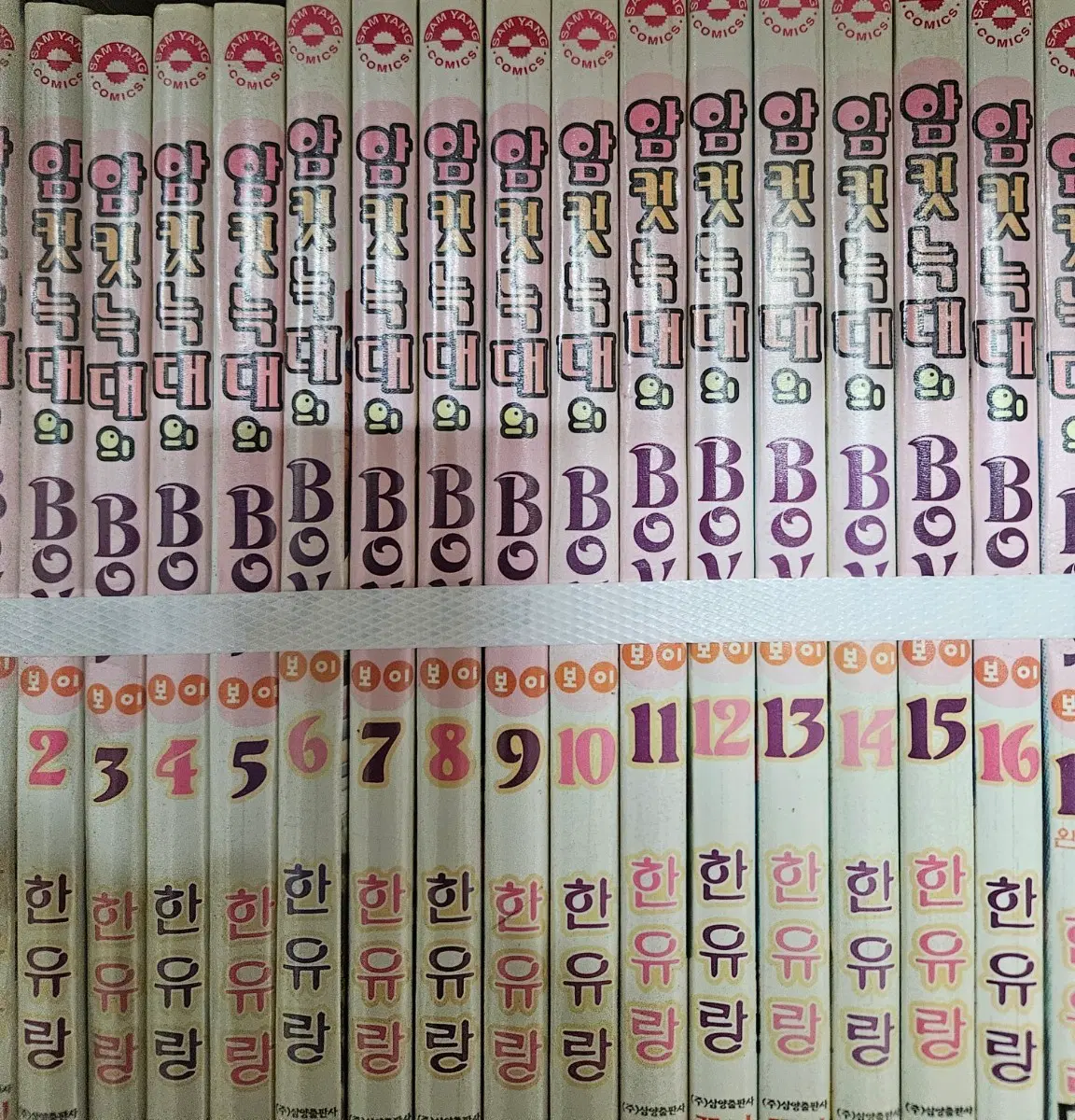 암컷늑대의보이1-17완