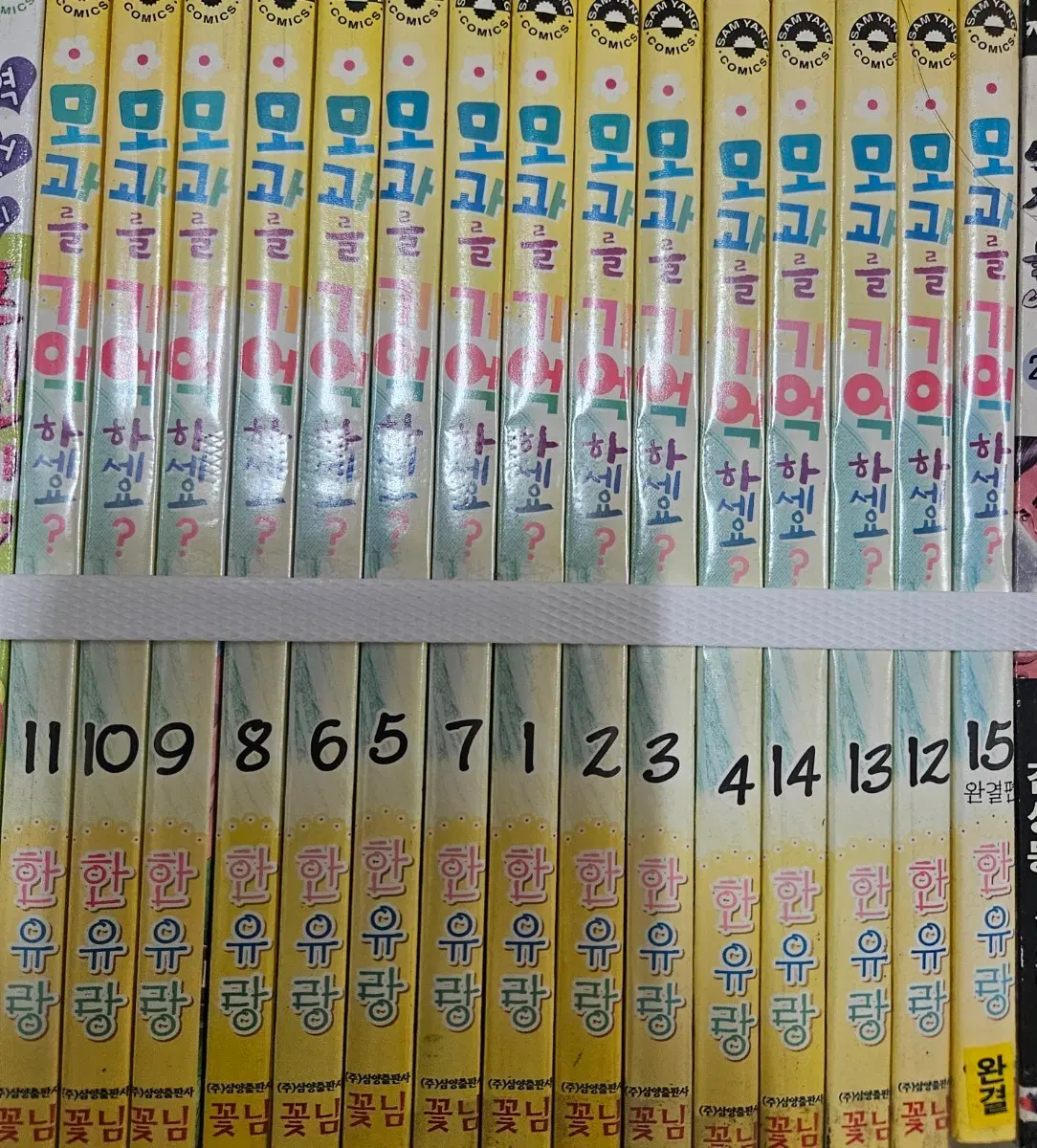 모과를기억하세요1-15완
