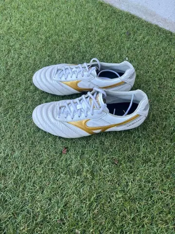 MIZUNO 모렐리아