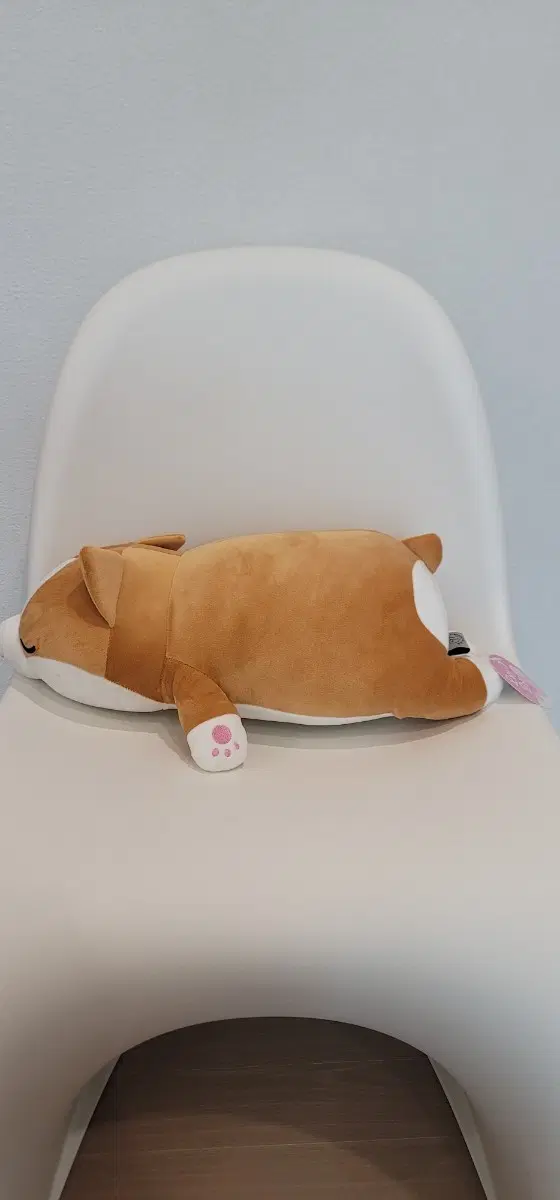 모찌 시바견 인형 꿀잠 쿠션