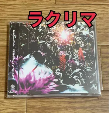 라크리마 크리스티/DEEP SPACE SYNDICATE 비주얼계