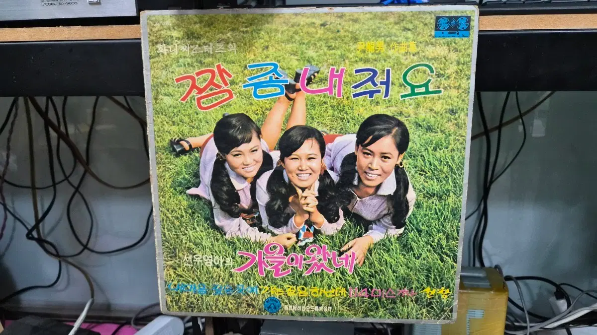 하니씨스 터즈 짬 좀 내줘요 LP
