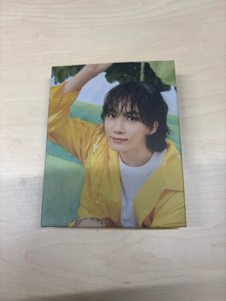 세븐틴 정한 콜북