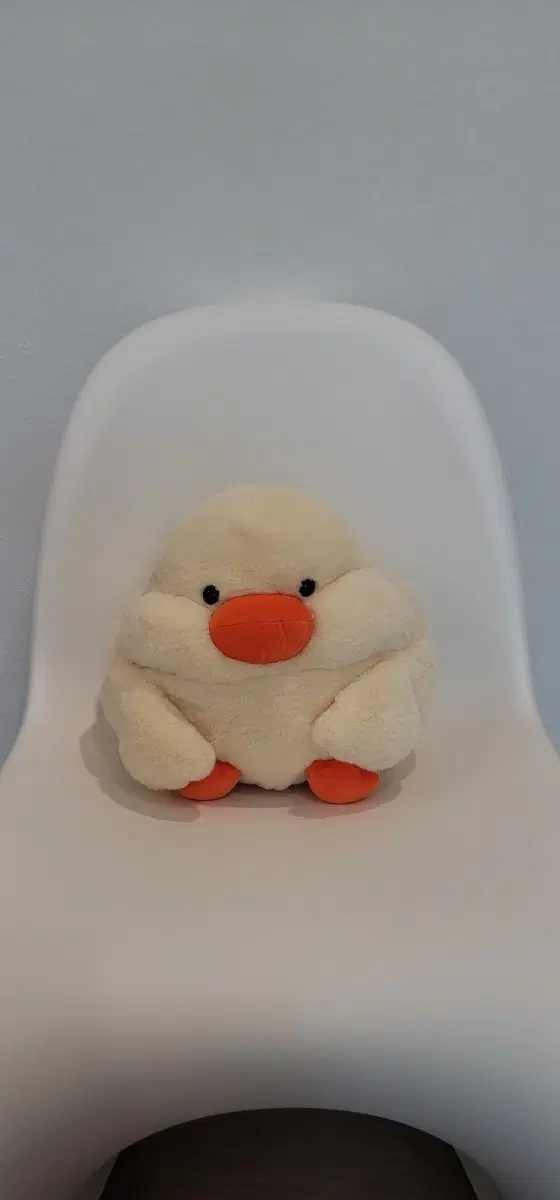 병아리 인형 핸드워머
