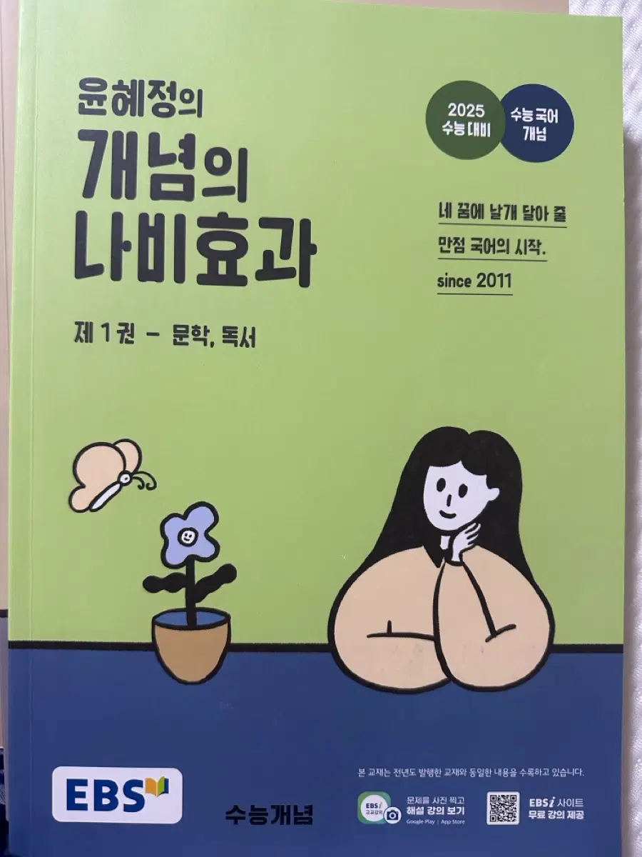 윤혜정 개념의 나비효과