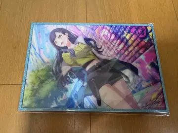 프로세카 하피콜레 시라이시 안 아크릴 색지