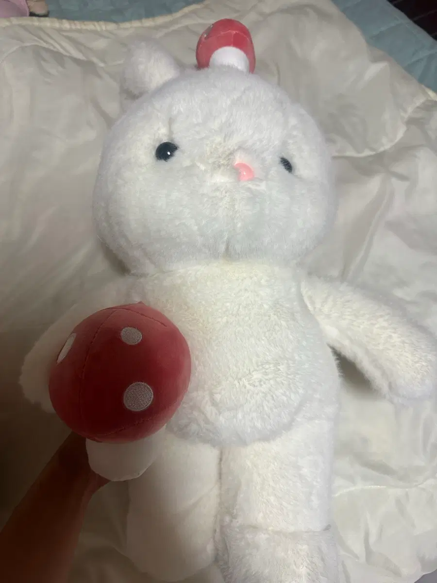 인형모음
