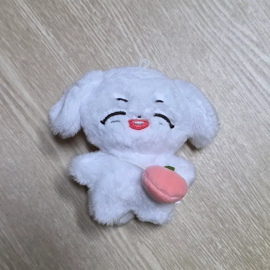 이창섭인형-댕댕섭