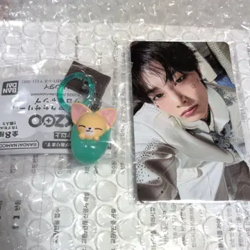 아이엔 폭시니 메지루시 솔로캠 FANS 트레이딩 카드 세트