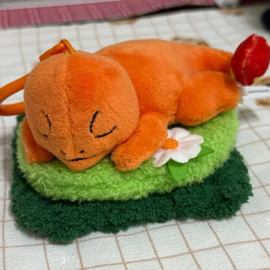 포켓몬스터 잠자는 파이리 인형 키링 +잔디코스터