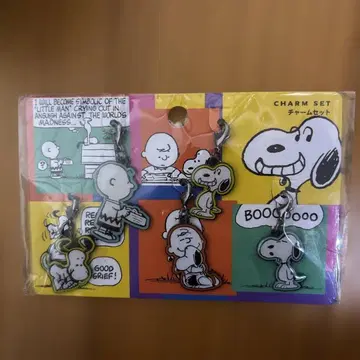 USJ 한정 Vintage Peanuts 참 세트