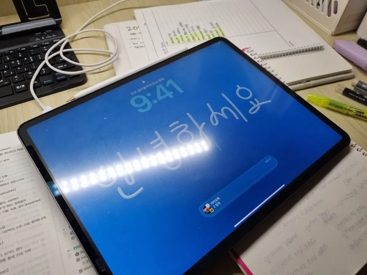 아이패드 프로 4 12.9 256gb