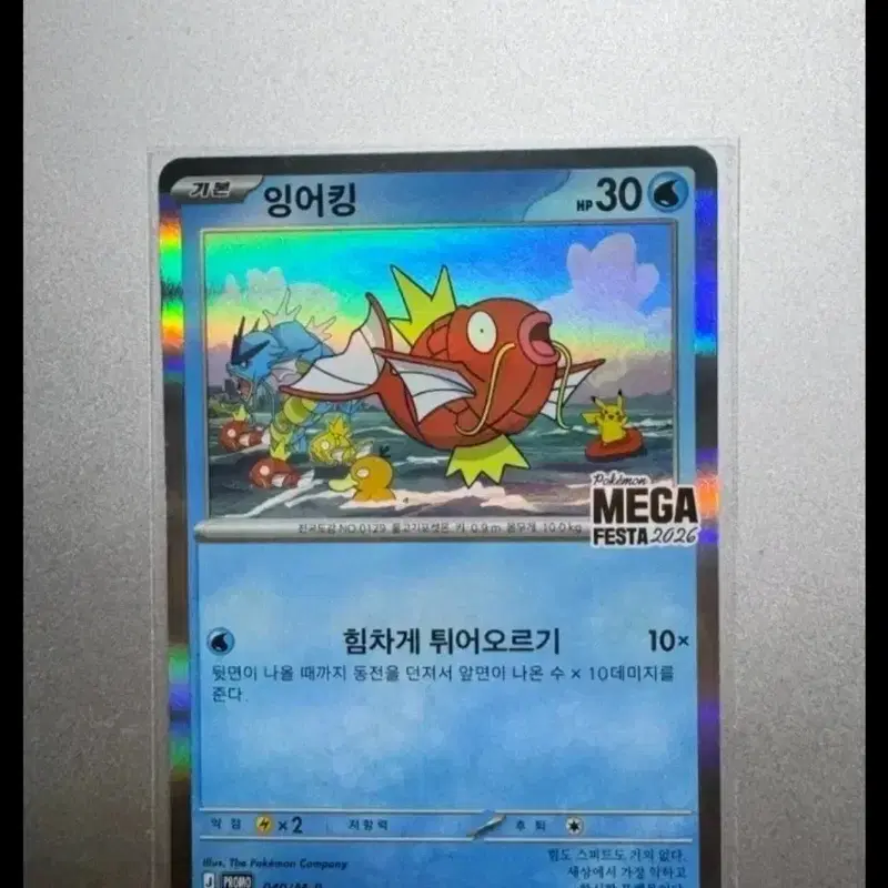 잉어킹 메가페스타 2026 프로모 카드 95000원에 팝니다 중계역근처 노원중학교 보라매역 신대방삼거리역 직거래 택배거래합니다 2장있어요