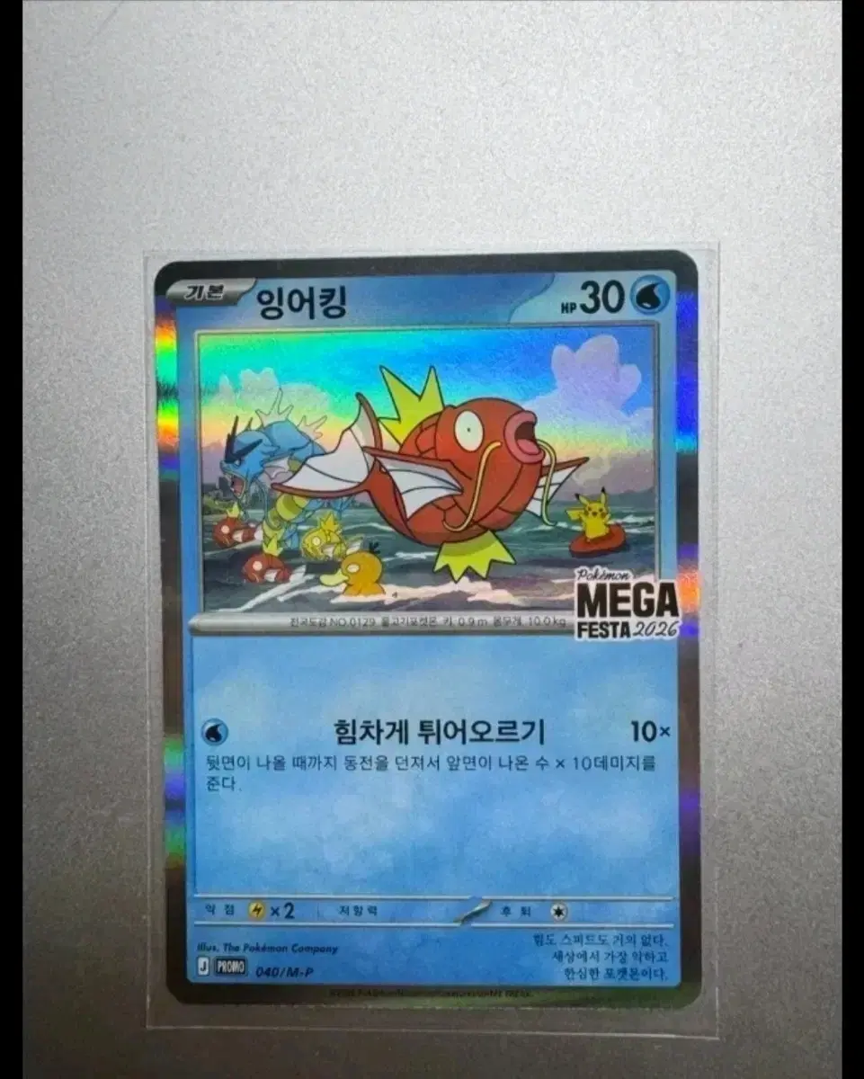 잉어킹 메가페스타 2026 프로모 카드 1000000원에 팝니다 중계역근처 노원중학교 보라매역 신대방삼거리역 직거래 택배거래합니다 2장있어요