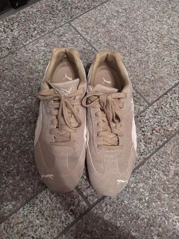 PUMA 여성용 스니커즈 베이지 스피드캣 24.5cm