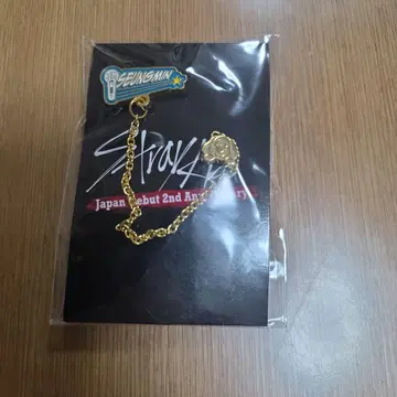 Stray Kids 스키즈 체인 포함 핀즈 승민