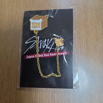 Stray Kids 스키즈 체인 포함 핀즈 아이엔
