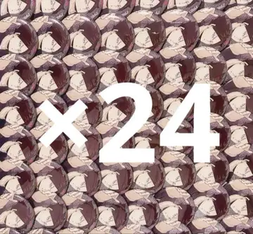 하이큐 카쿠나 린타로 글리터 캔뱃지 24개