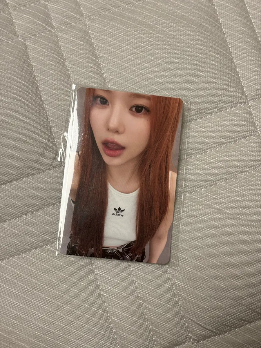 하츠투하츠 하투하 레몬탱 베리즈 이안 포카 특전 미공포 분철 포커스 루드 미개봉