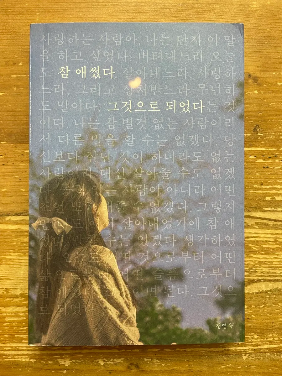 정영욱 참 애썼다, 그것으로 되었다
