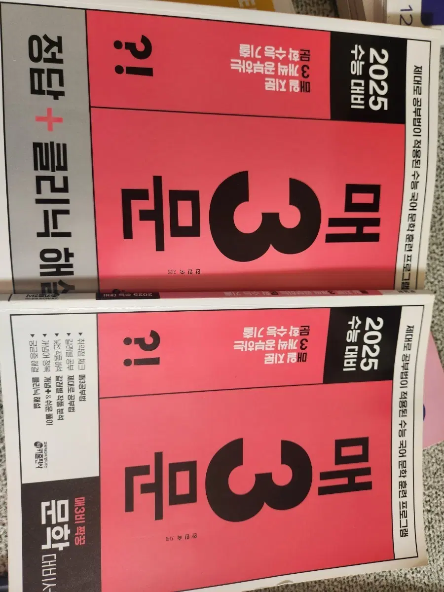 2025,2024 수능대비 매3문 문학 비문학