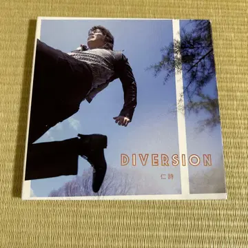 진시 DIVERSION 인디 CD