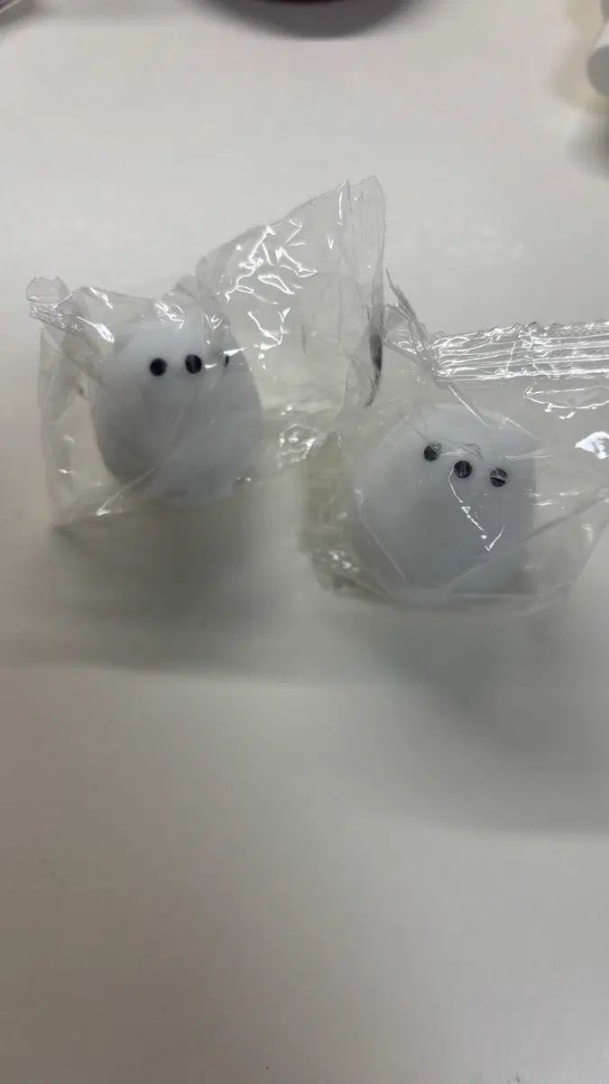동물 말랑이