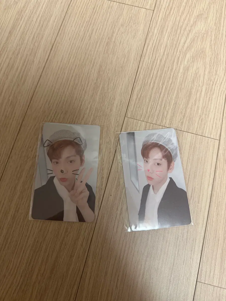 투바투 수빈 캣앤독 공방포카 양도 투모로우바이투게더 연준 범규 태연 휴닝카이