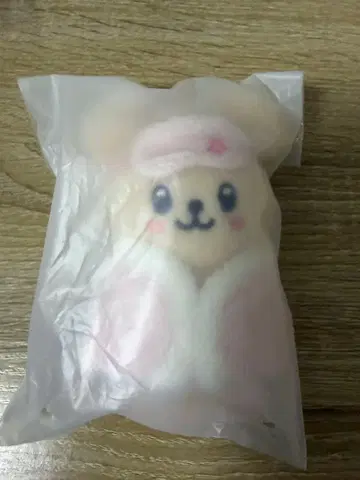 stray kids 6th 팬미팅 SKZOO PuppyM