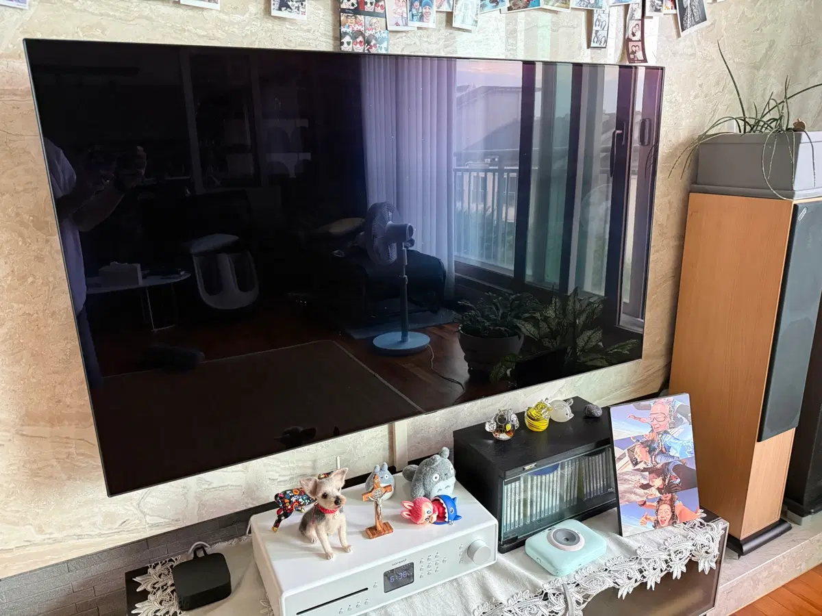 LG OLED55BXFNA 55인치 TV