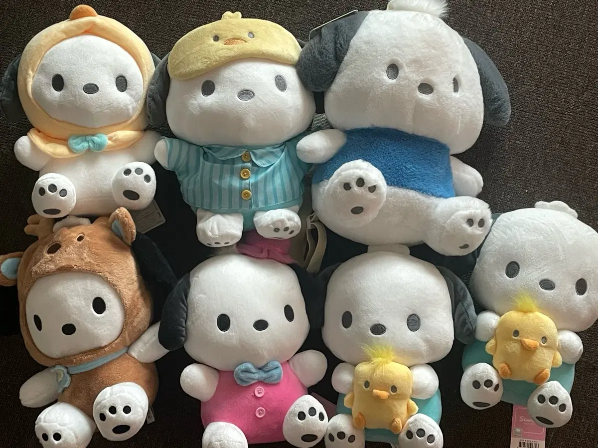 교환o) 산리오 포차코 인형 잔뜩