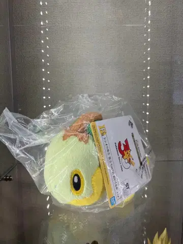 제일복권 포켓몬 30주년 F상 모부기 봉제 인형