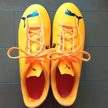 PUMA 축구 키즈 트레이닝 슈즈 23.5cm