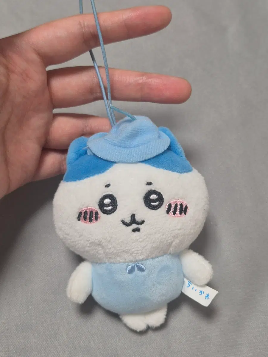하치와레 천사요정 치이카와