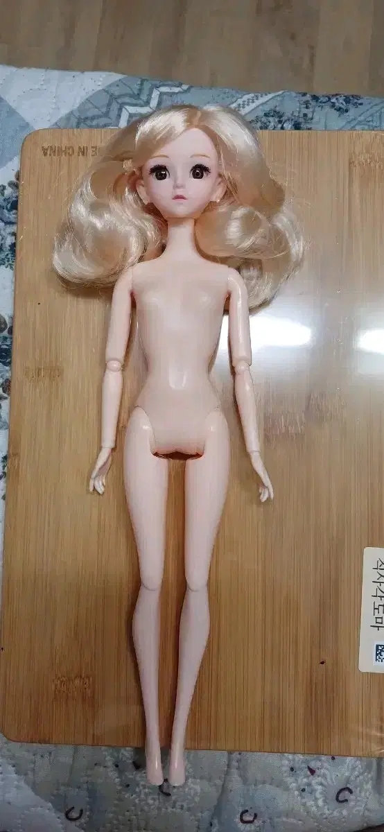 구체관절인형 누드 이름 모름