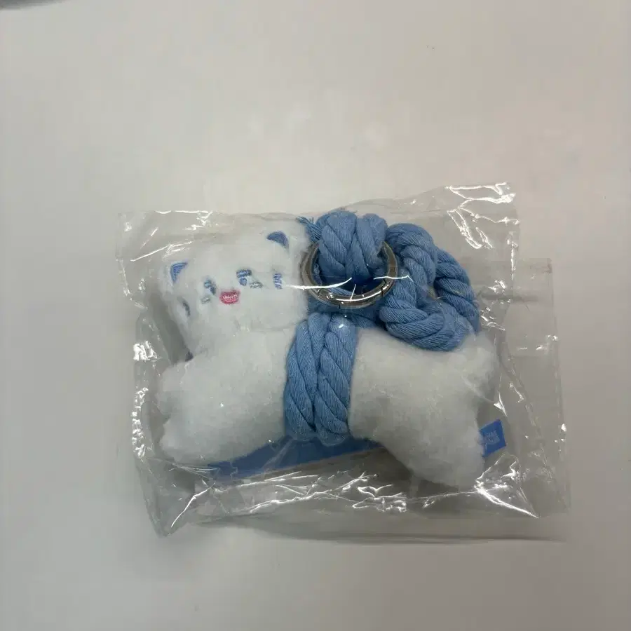 온유 찡냥이 액막이 인형 포카포함