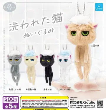 씻은 고양이 봉제 인형 전 5종 풀세트