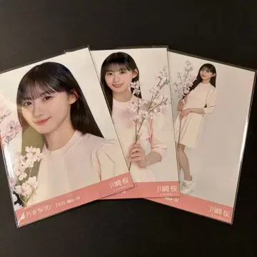 노기자카46 브로마이드 벚꽃 컬러 코디 3종 컴프 카와사키 사쿠라