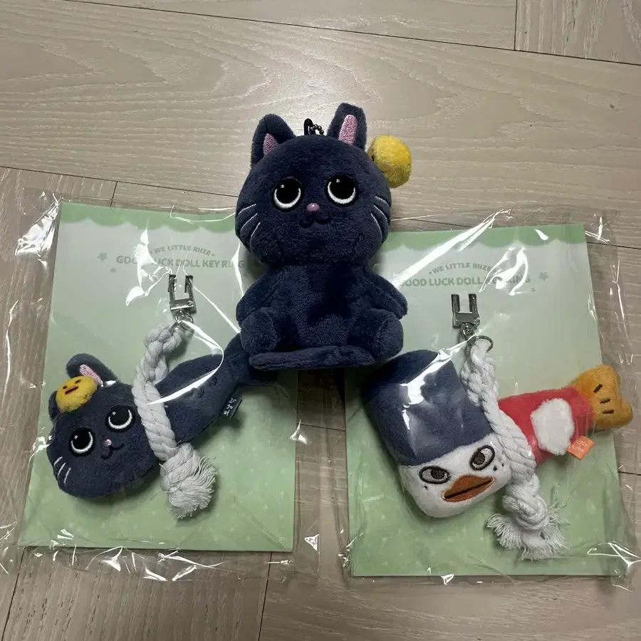 라이즈앙콘토냥덕똘병이엠디양도