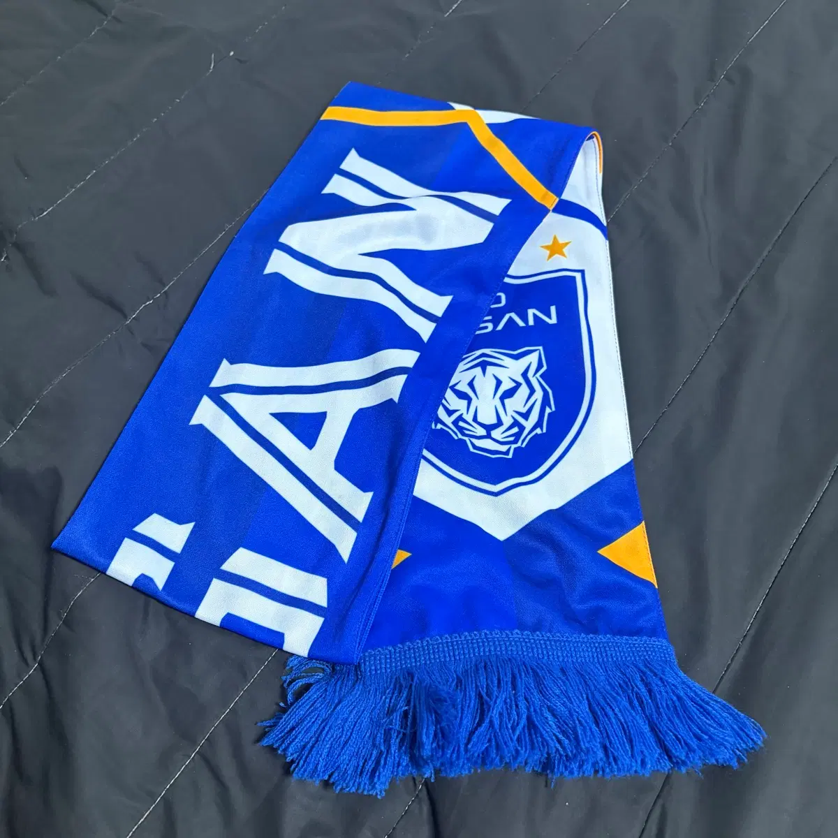 울산 현대 축구 머플러