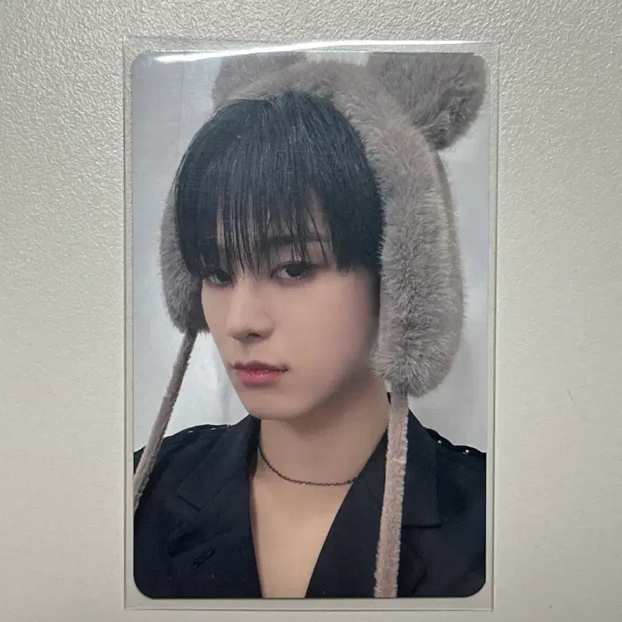 더보이즈 주연 곰돌이 포카