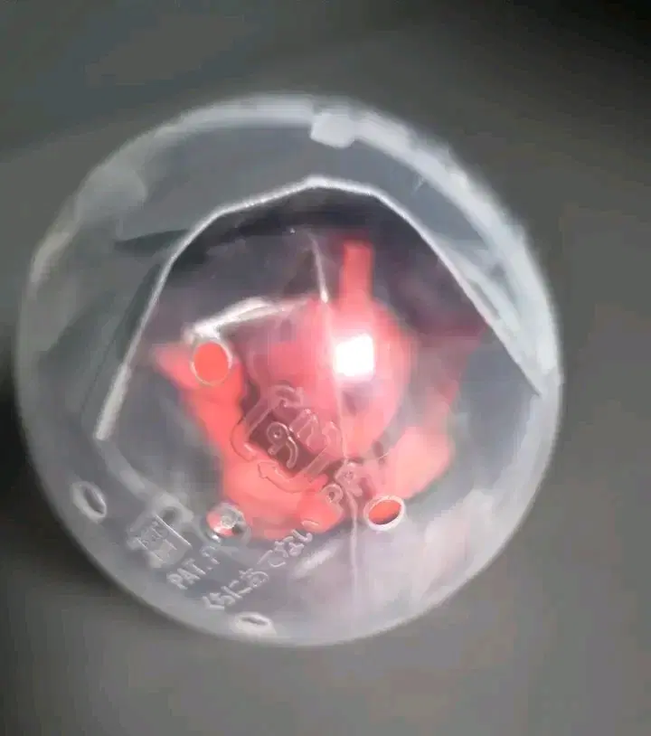 언제오려나 샤아 겔구그