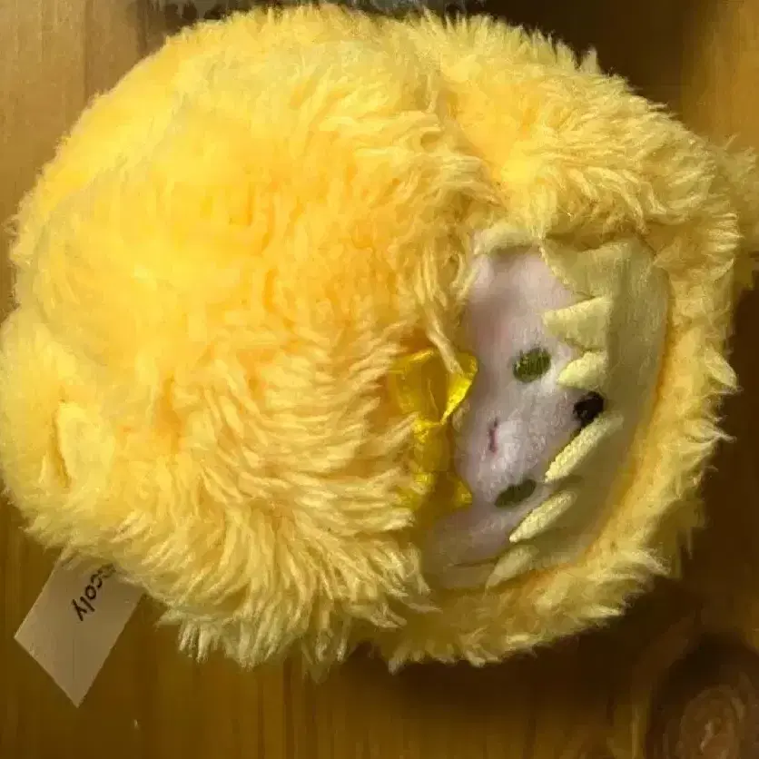 마호야쿠 타피누이 리케