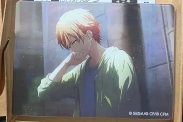 프로세카 시노노메 아키토 노블 아트