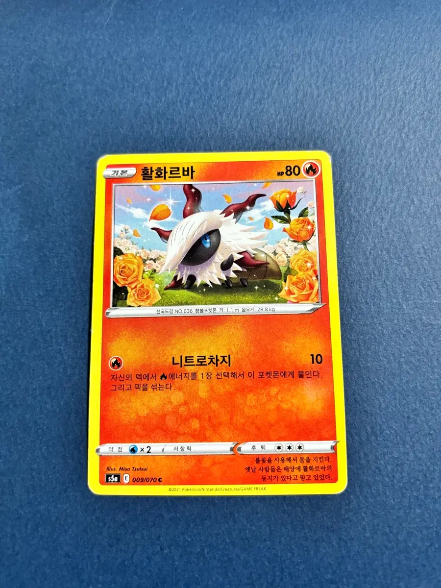 포켓몬카드 활화르바 일반카드 도감용 덱소스 s5a 009/070