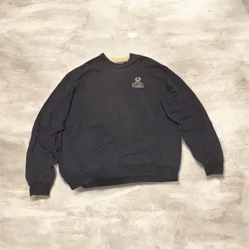 Champion 맨투맨 네이비 XXL 멕시코제 90s 기업 로고
